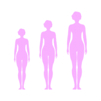 3_bodyselection 3_bodyselection