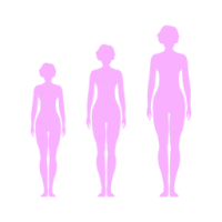 3_bodyselection 3_bodyselection